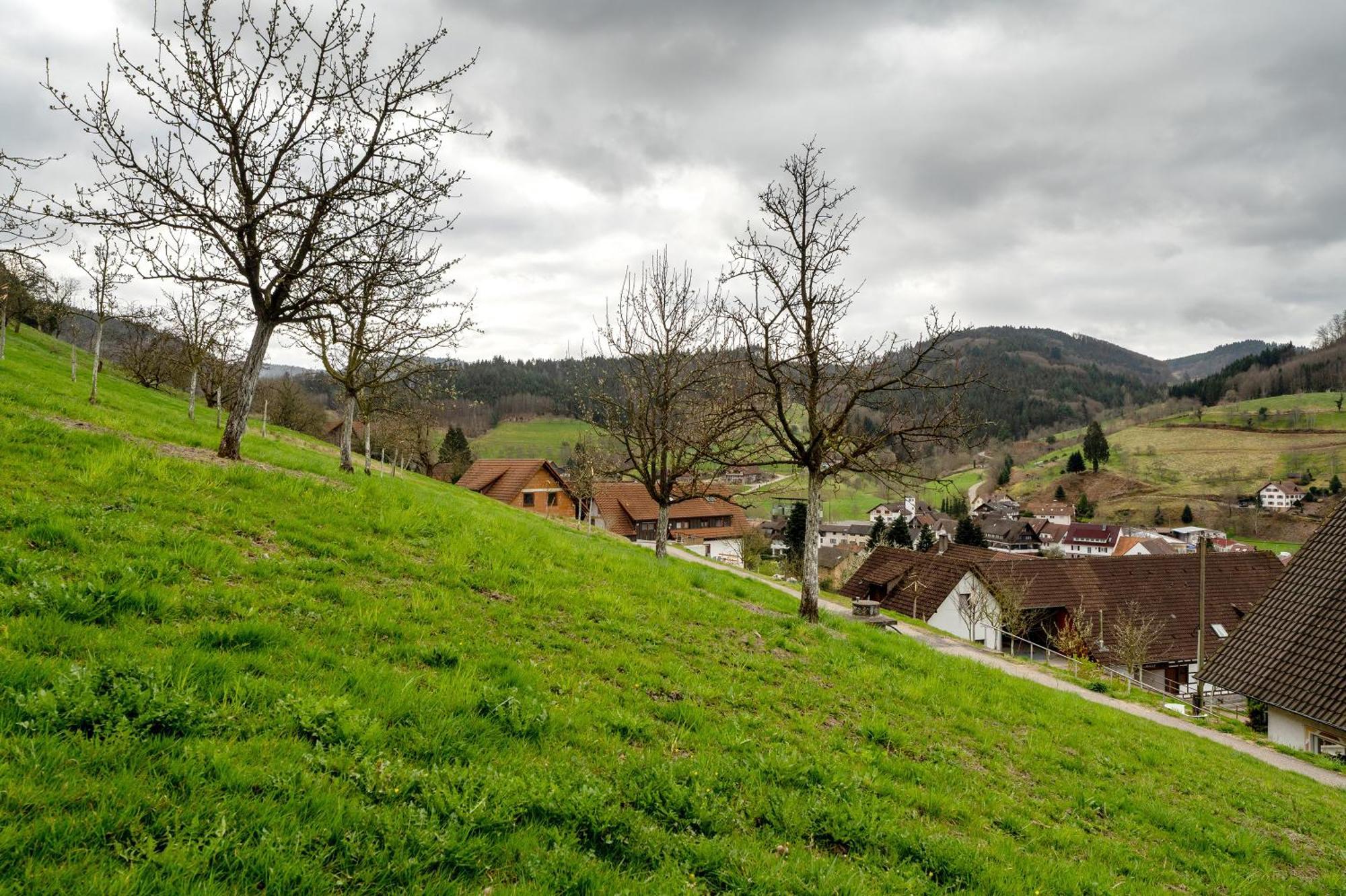 Ottenhofen im Schwarzwald Haus Am Schroffen 아파트 외부 사진
